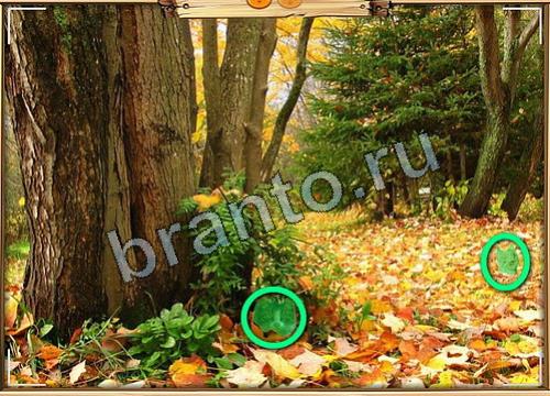 Одноклассники Усатое расследование ответы Уровень 98