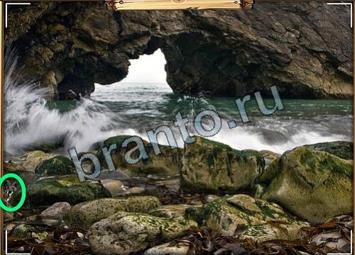 Усатое расследование подсказки в контакте Уровень 99