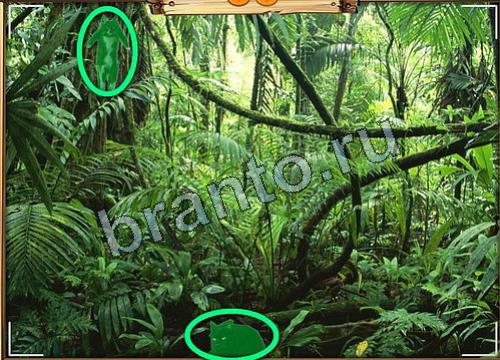 игра Усатое расследование ответ на Уровень 100