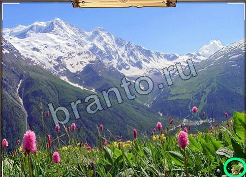 Усатое расследование решения Уровень 102