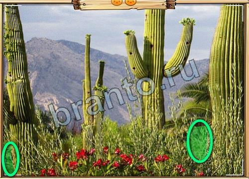 Усатое расследование игра ответы Уровень 103