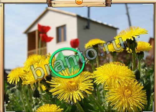 Усатое расследование игра подсказки Уровень 104