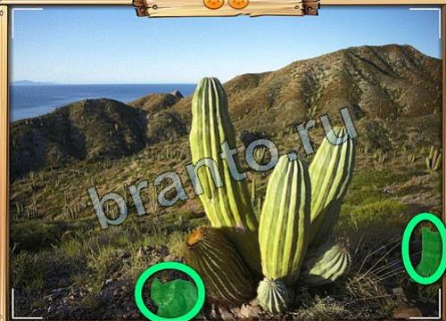 Игра Усатое расследование ответы вк Уровень 107