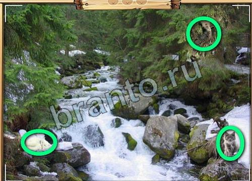 игра Усатое расследование помощь одноклассники Уровень 109