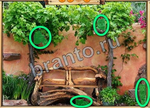 игра Усатое расследование ответы в одноклассниках на Уровень 110