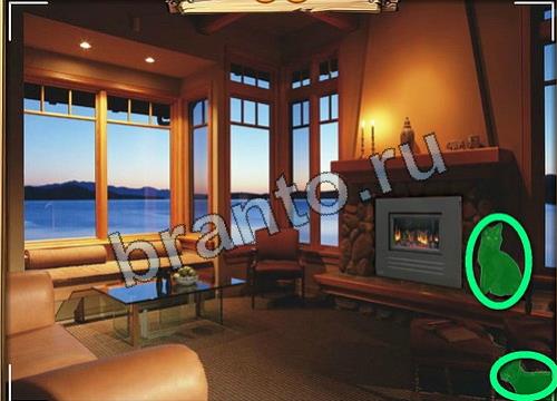 Усатое расследование игра ответы Уровень 113