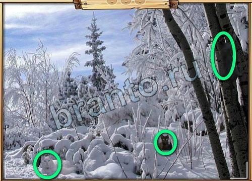 Усатое расследование игра подсказки Уровень 114