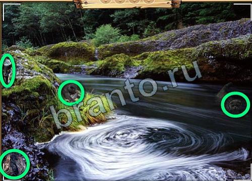 Усатое расследование ответы в картинках Уровень 116