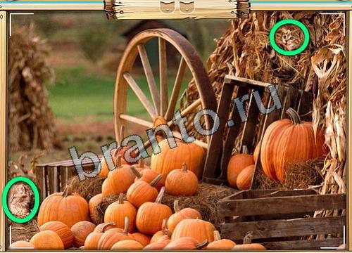 Игра Усатое расследование ответы вконтакте Уровень 117