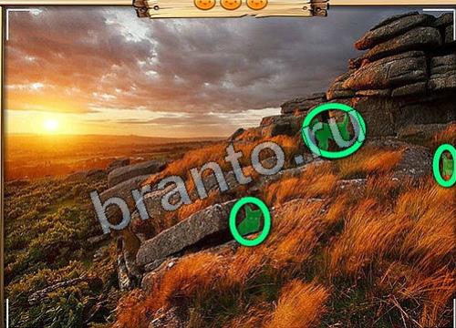 игра Усатое расследование помощь вконтакте Уровень 119