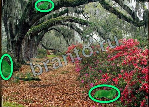 Подсказки на игру Усатое расследование Уровень 152