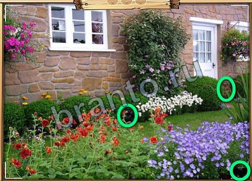 Усатое расследование решения Уровень 162