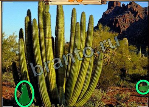 Усатое расследование игра подсказки Уровень 164