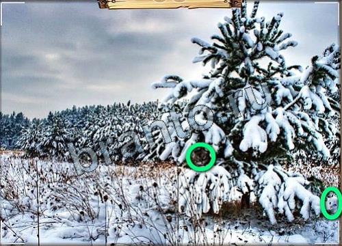 Усатое расследование игра в одноклассниках помощьУровень 165