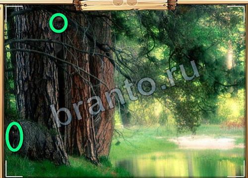 решебник на игру Усатое расследование Уровень 171