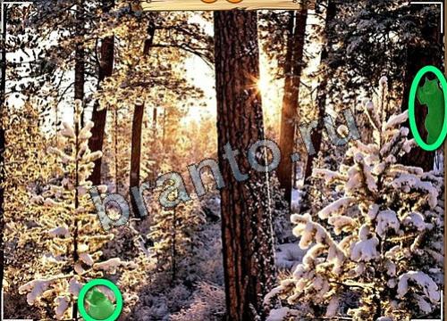 Игра Усатое расследование подсказки вконтакте Уровень 178