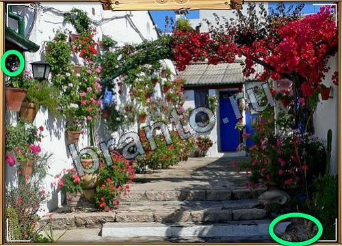 игра Усатое расследование ответ одноклассники на Уровень 180