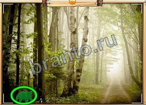 Усатое расследование игра ответы в одноклассниках Уровень 307