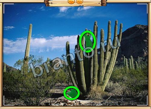 Одноклассники Усатое расследование ответы Уровень 308