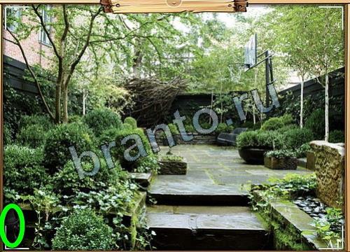 Усатое расследование решения Уровень 312