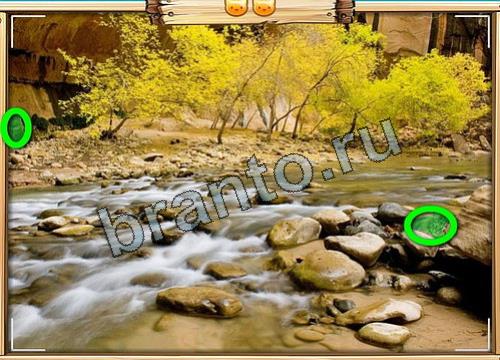 Усатое расследование игра ответы Уровень 313