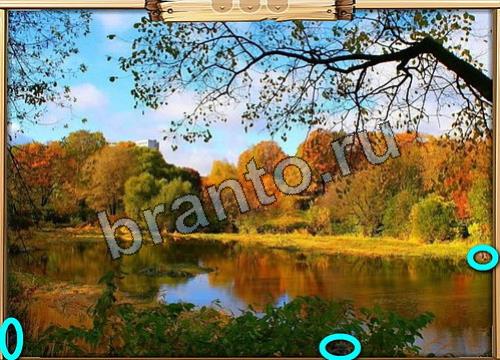 Игра Усатое расследование подсказки вк Уровень 318