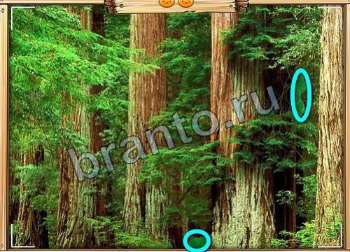 игра Усатое расследование помощь одноклассники Уровень 319