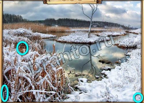 Усатое расследование решения Уровень 322