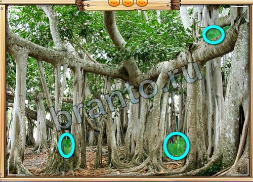 Усатое расследование игра ответы Уровень 323