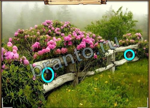 игра Усатое расследование ответ одноклассники на Уровень 330