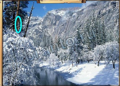 Подсказки на игру Усатое расследование Уровень 332