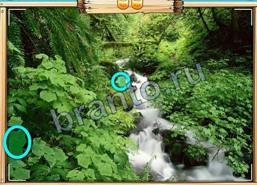 ответы на игру в одноклассниках Усатое расследование Уровень 336