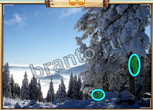 Усатое расследование игра ответы в одноклассниках Уровень 337