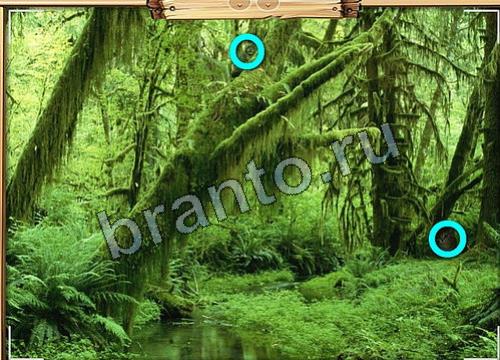 Усатое расследование подсказки в контакте Уровень 339