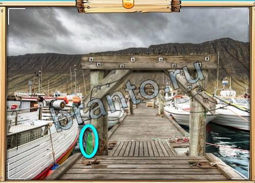 игра Усатое расследование ответ на Уровень 340