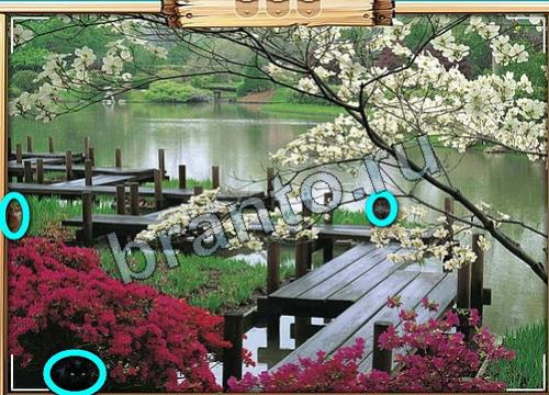 Усатое расследование решения Уровень 342