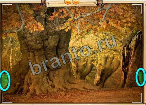 Усатое расследование игра ответы Уровень 343