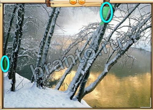 Игра Усатое расследование ответы вк Уровень 347