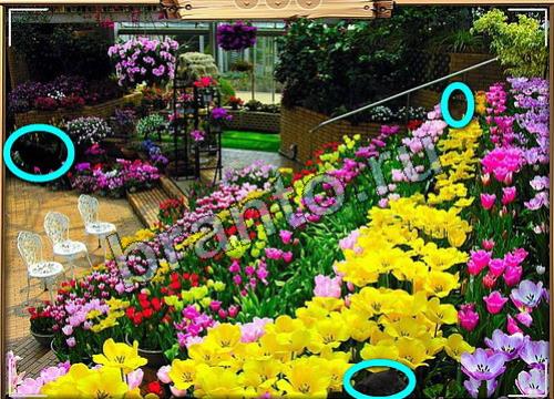 игра Усатое расследование помощь одноклассники Уровень 349