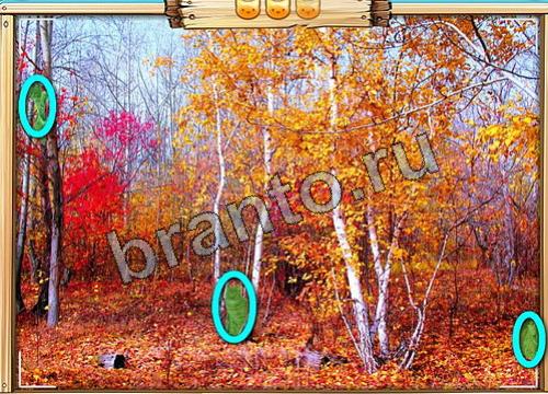 Усатое расследование игра ответы Уровень 353