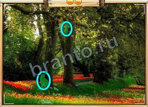 Игра Усатое расследование подсказки вконтакте Уровень 358