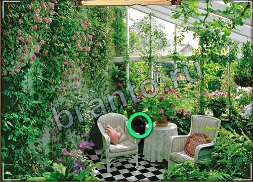 ответы на игру в одноклассниках Усатое расследование Уровень 186