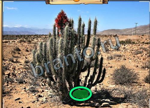 Усатое расследование игра ответы в одноклассниках Уровень 187