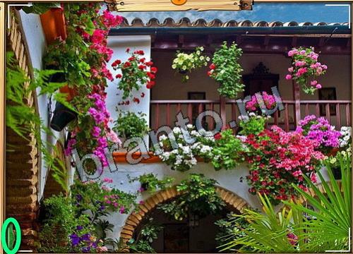 Одноклассники Усатое расследование ответы Уровень 188