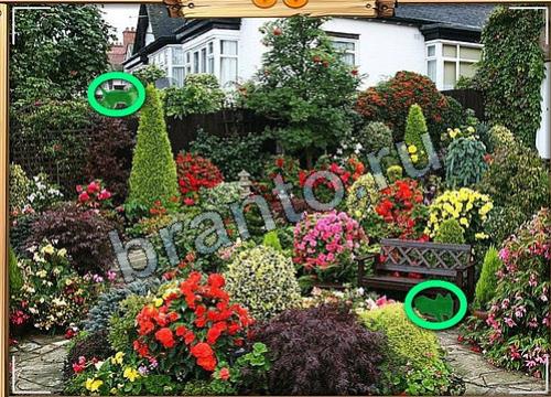 Усатое расследование решения Уровень 192