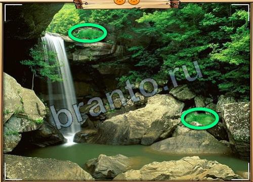 Усатое расследование игра подсказки Уровень 194