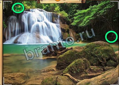 Усатое расследование игра в одноклассниках помощьУровень 195