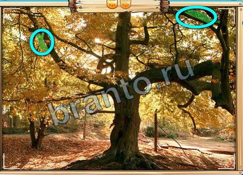 игра Усатое расследование помощь вконтакте Уровень 389