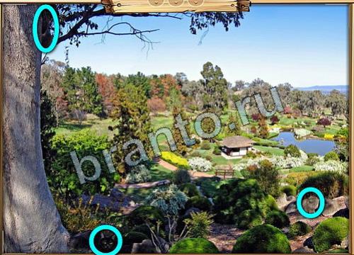 игра Усатое расследование ответ одноклассники на Уровень 390