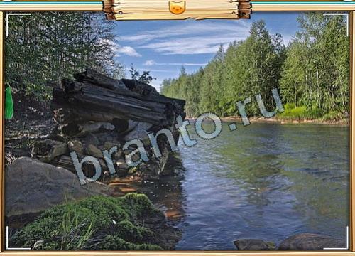 Подсказки на игру Усатое расследование Уровень 392